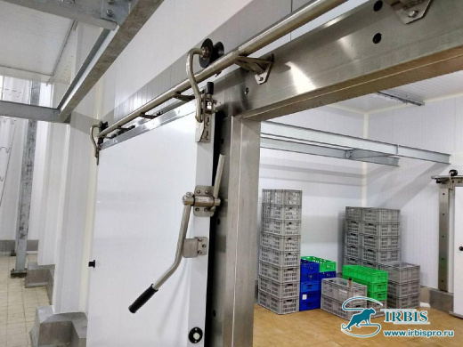 Откатная дверь Ирбис