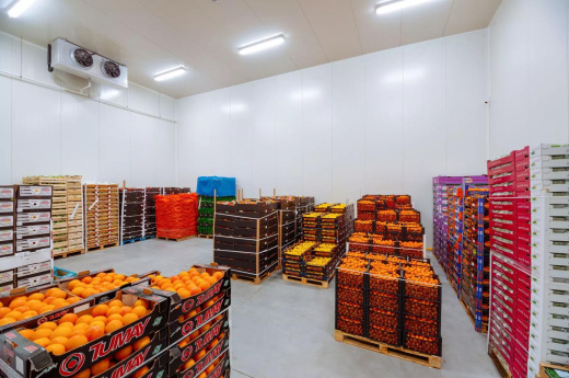 Камера для хранения овощей/фруктов