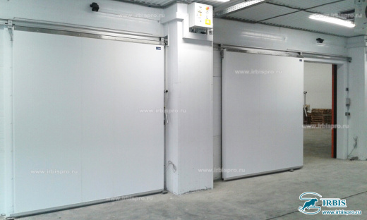 Откатная дверь Ирбис